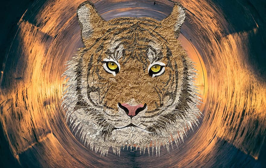тигр, тварина, хижак, небезпечний, грива, портрет, очі, дикої природи, дикий, котячих