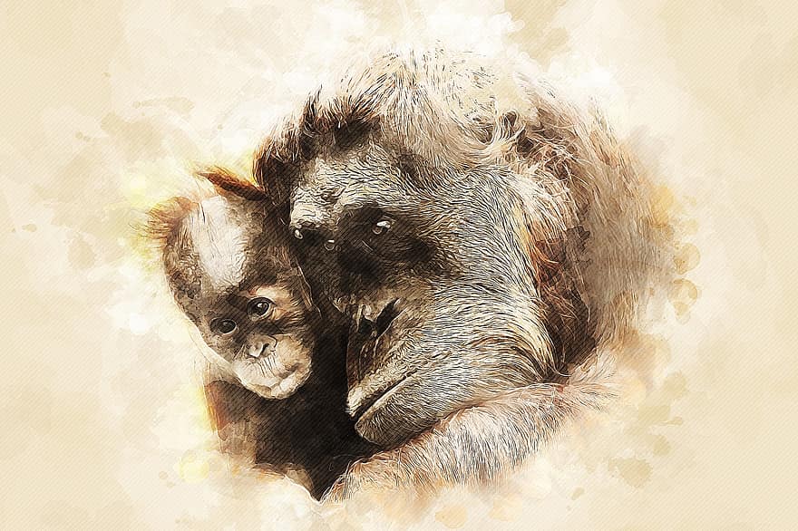 les orangs-outans, bébé animal, photo d'art, bébé orang-outan, primates, singes, animaux, mammifères, mère, mère et bébé, faune