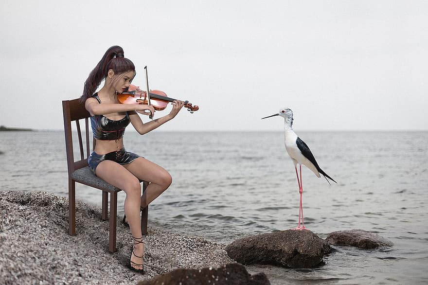 mujer, violín, pájaro, lago, playa, músico, silla, música, hacer música, violinista, instrumento musical
