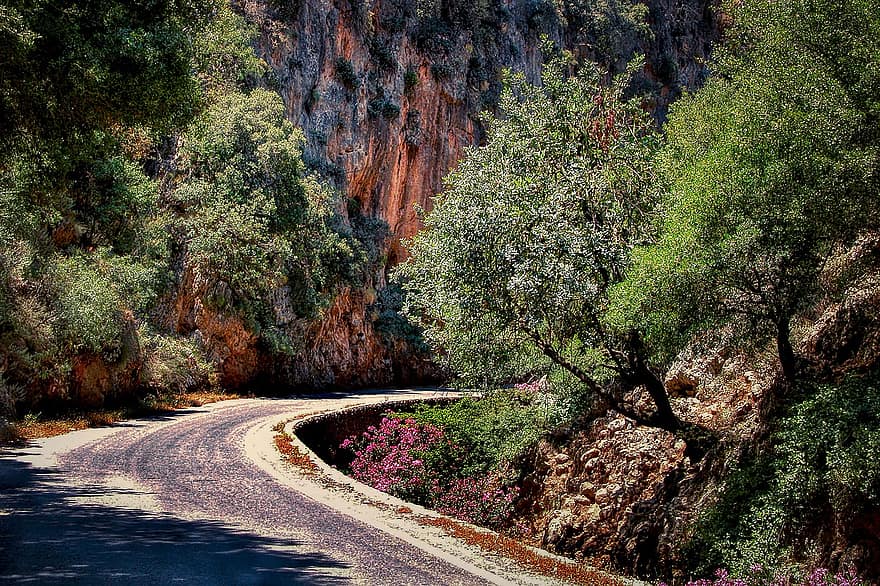 la carretera, arboles, montaña, curva, camino, garganta, cañón, rocas, carretera de montaña, natural, paisaje