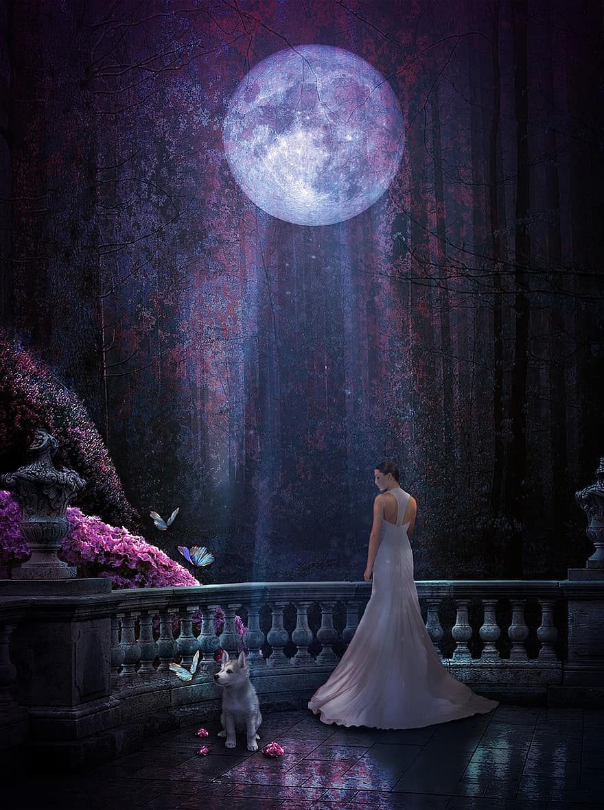 lună, noapte, lumina lunii, fantezie, vis, mireasă, femeie, rochie, fată, balcon, copac