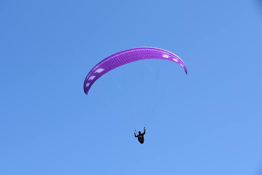 Paragliding, Paraglider, Aircraft, Flight, Fly, Veil Color Purple, Flew, Meteorology, Wind Weather, Blue Sky, Blue Sea