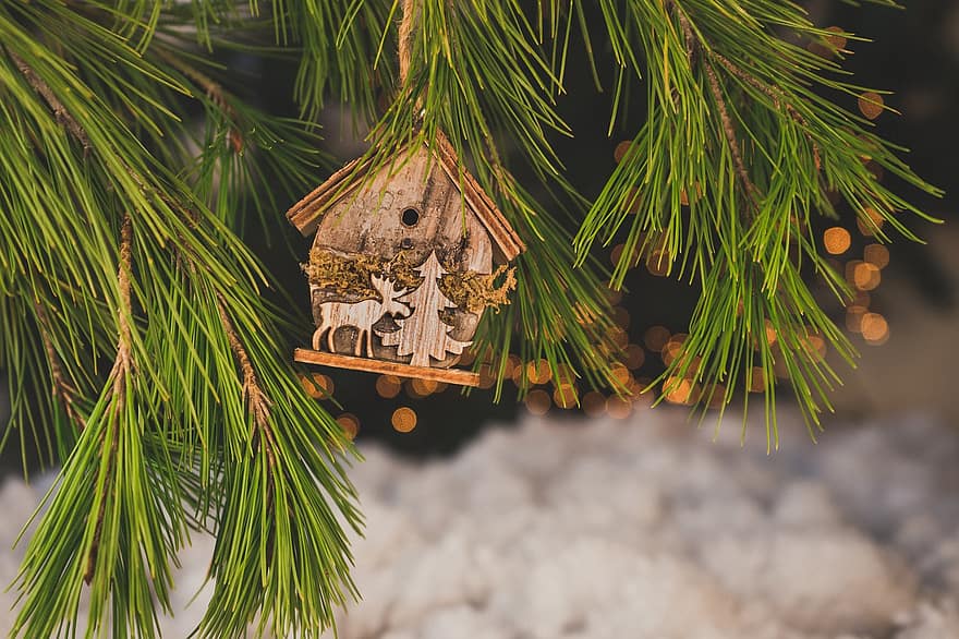 χριστουγεννιάτικο δέντρο, birdhouse, Χριστουγεννιάτικα στολίδια, διακόσμηση, εποχή, Δεκέμβριος, χειμώνας
