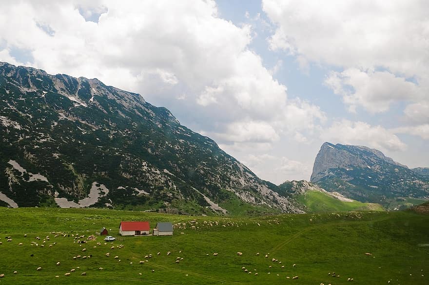 naturalesa, camp, rural, a l'aire lliure, ciutat, viatjar, exploració, montenegro, casa