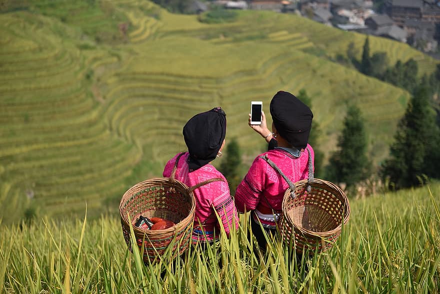 Menšinové ženy, Menšina Yao, guilin, Čína, longji, Longji rýžové terasy, rýže, podzim, Použijte telefon, vesnice, Příroda