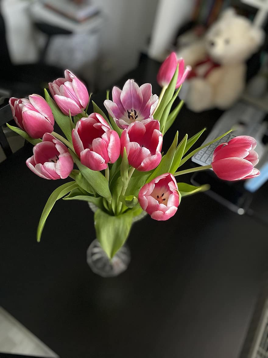 Tulpen, rosafarbene Tulpen, Strauß, pinke Blumen, Blumen, Tulpe, Blume, Pflanze, Vase, Blütenkopf, Blütenblatt