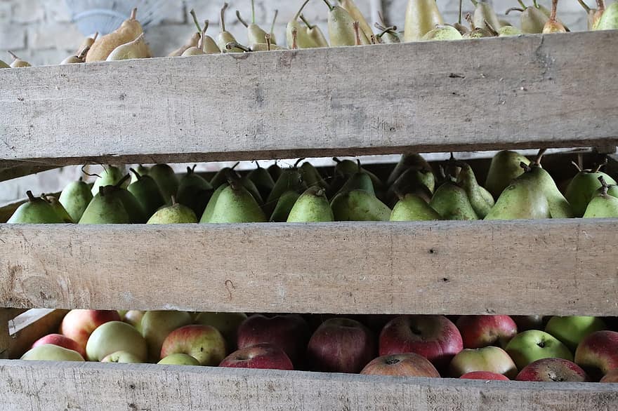 плодове, фермерски пазар, жътва, ябълки, круши