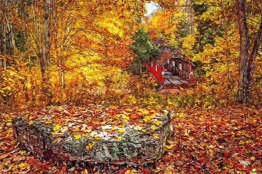 Autumn Bridge, Nature, Plant, Tree, Leave, Rock, Path, Wooden, Bridge, Color, Season