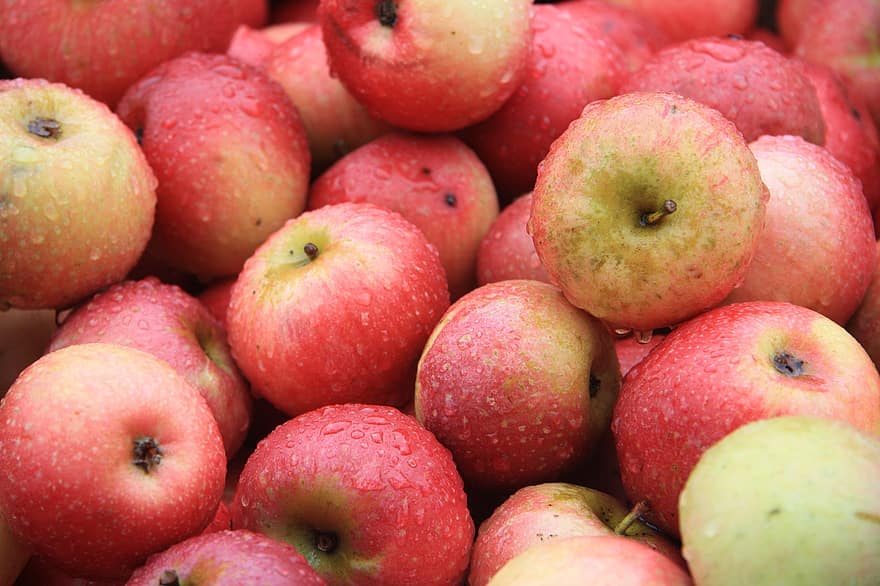 りんご、果物、フード、新鮮な、健康、熟した、オーガニック、甘い、作物、収穫、林檎