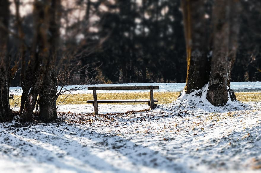 пейка, парк, сняг, дървета, зима, пейзаж, дървена пейка, неприветлив, на открито