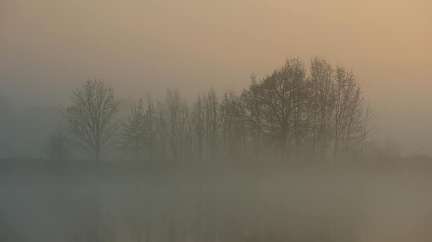 lago, nebbia, umore mattutino, autunno, paesaggio, natura