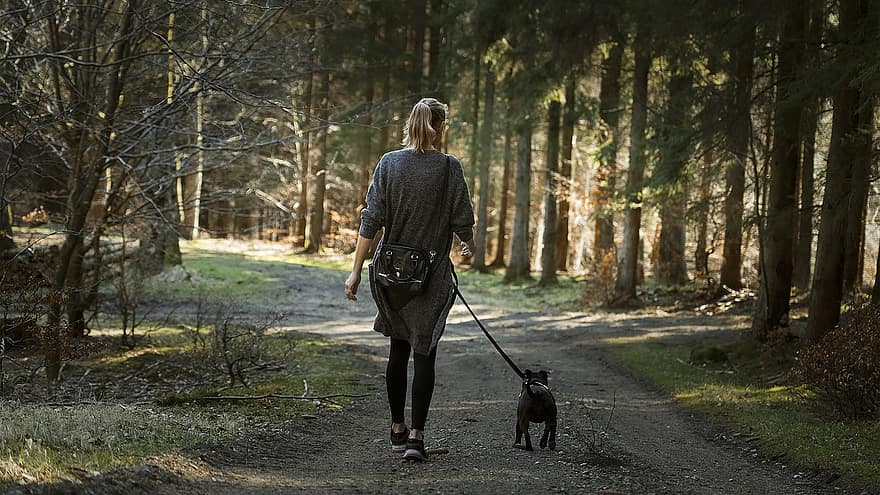 mulher, cão, caminhar, trilha, caminho, floresta, natureza, caminhando, arvores, cachorro ambulante, lazer
