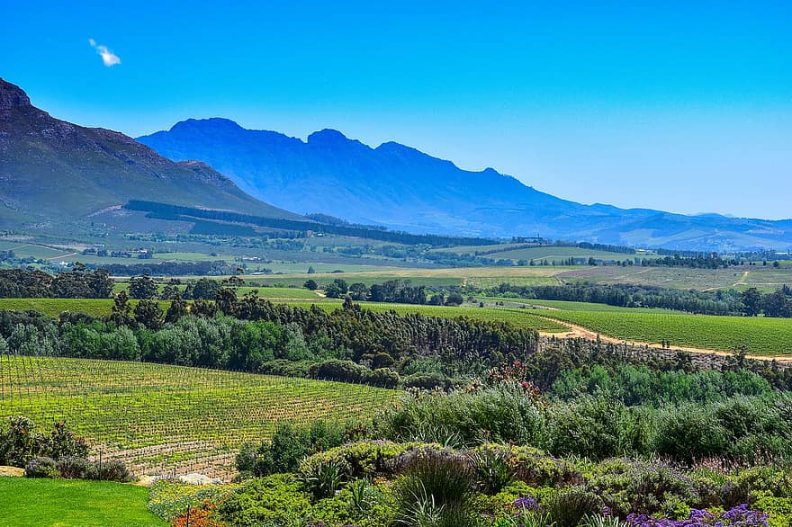 Nature, Countryside, Rural, Outdoors, Ernie Els Wines, Mountain, rural scene, summer, landscape, farm, green color