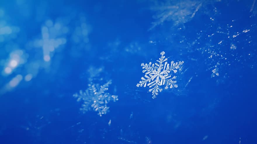 copo de nieve, nieve, invierno, hielo, cristal de hielo, frío, naturaleza, textura, macro, de cerca, papel pintado
