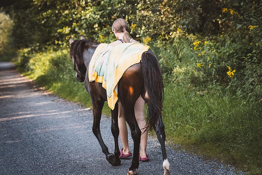 Girl, Horse, Pony, Foal, Pathway, Trail