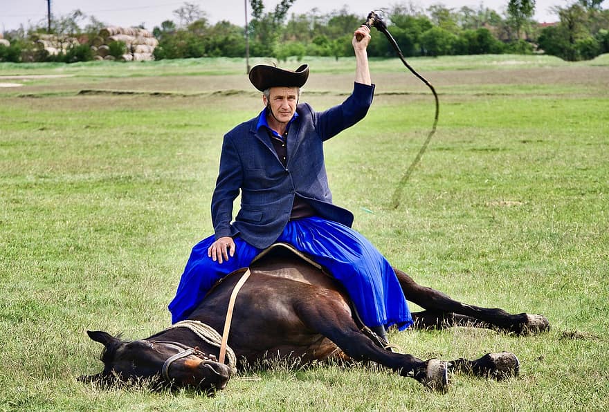 Man, Horse, Whip, Horse Rider, Trick, Tradition, Culture, Demonstration, Animal, Mammal, Equine