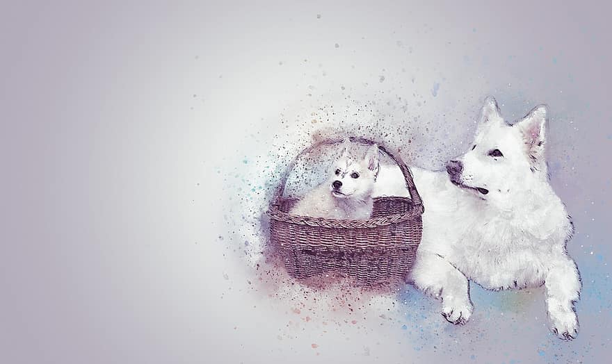 Dogs, Pet, Cute, White, Basket, Art, Abstract, Watercolor, Emortion, Animal, Nature