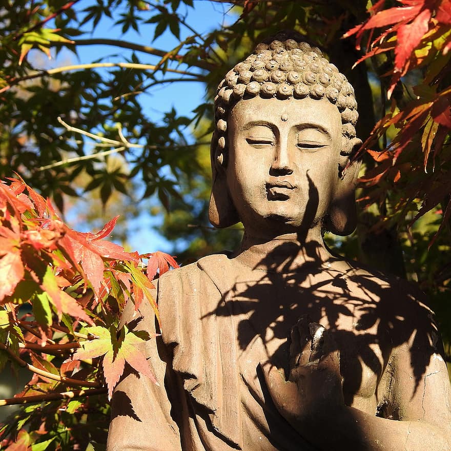 Buda, otoño, temporada, follaje, arce, zen