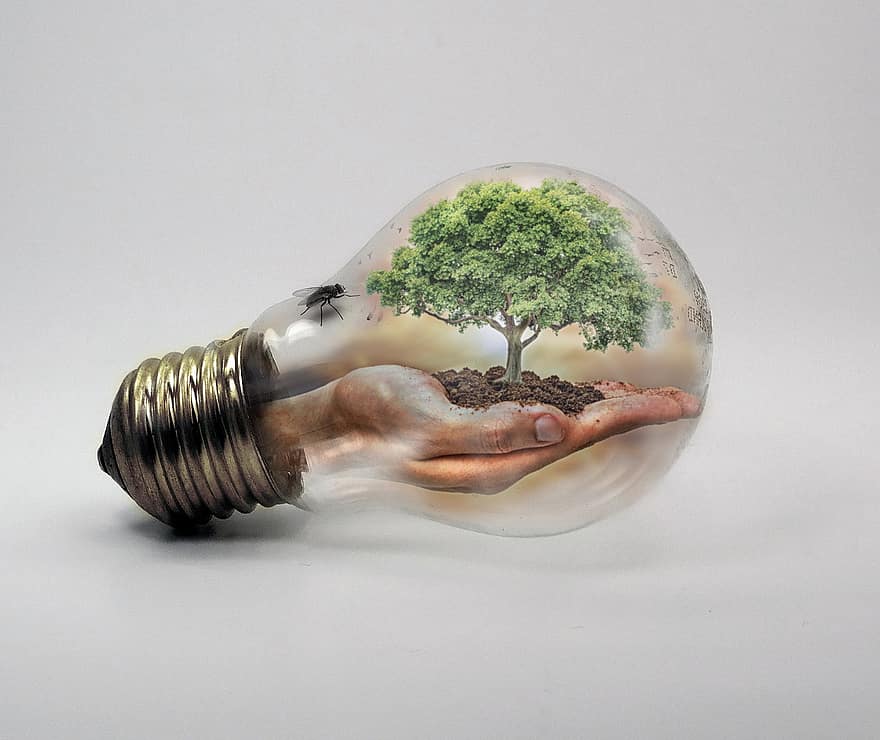 ampoule, la nature, Écologiecourant, changement climatique, arbre, main, vert, paysage, changement, climat, environnement