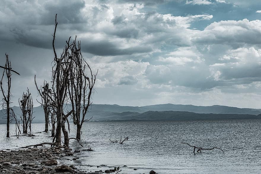 lago, Quênia, dia nublado, panorama, árvore, agua, nuvem, céu, azul, montanha, areia