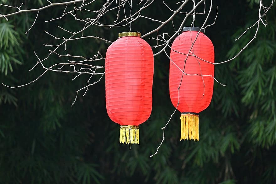 kevätjuhla, lyhdyt, festivaali, juhla, viljelmät, koriste, lyhty, kiinalainen kulttuuri, perinteinen festivaali, puu, kiinalainen lyhty