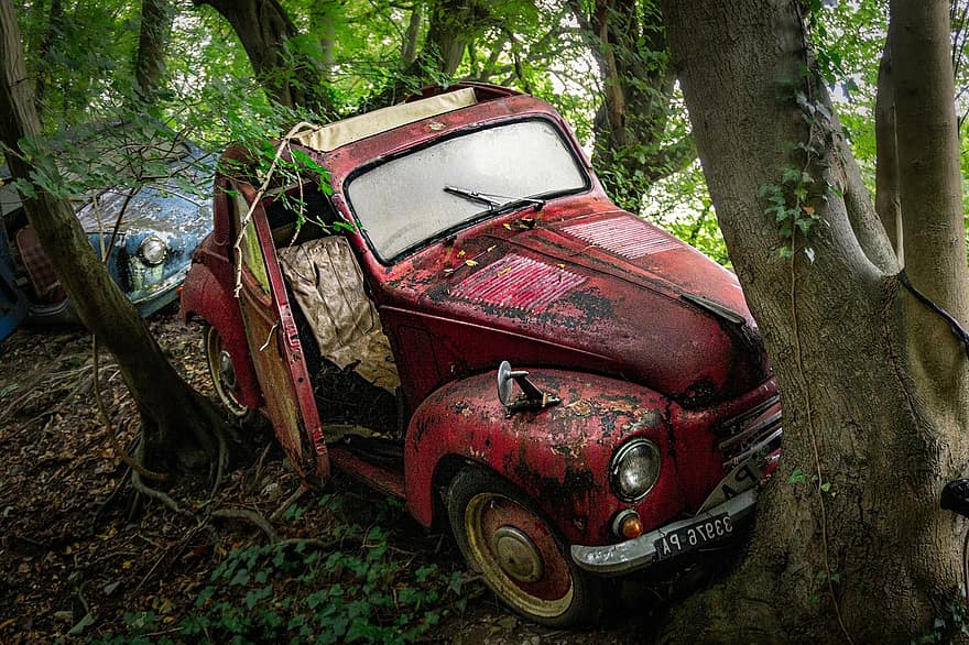 junk car, abandoned car, forest, car, off-road vehicle, old, land vehicle, transportation, dirty, mud, speed