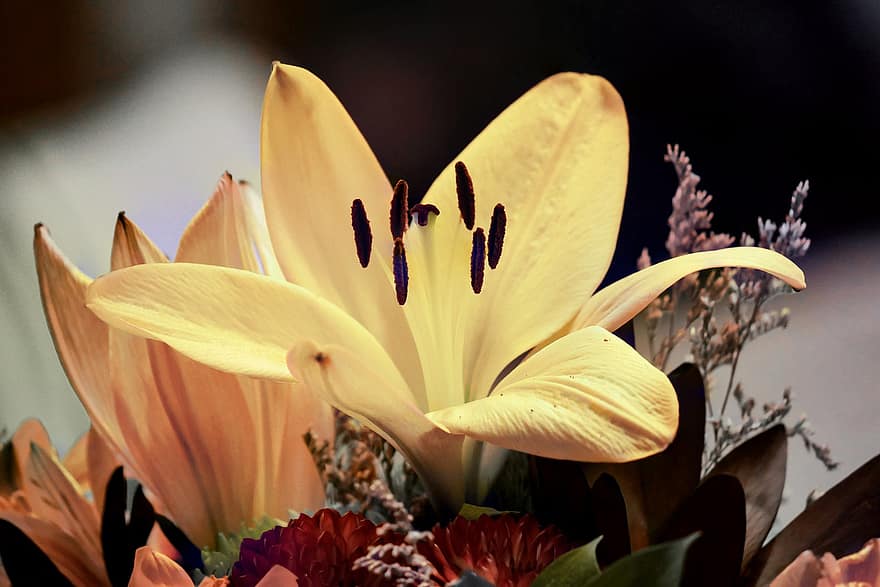 лилии, цветя, жълти цветя, листенца, жълти венчелистчета, разцвет, цвят, флора, растение