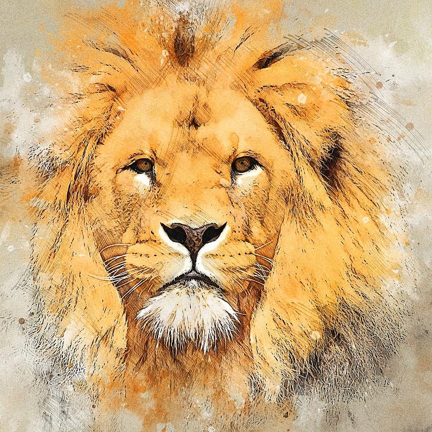 Lion, Head, Photo Art, Hunter, Predator, Animal, Big Cat, Wildlife, Dangerous, Portrait