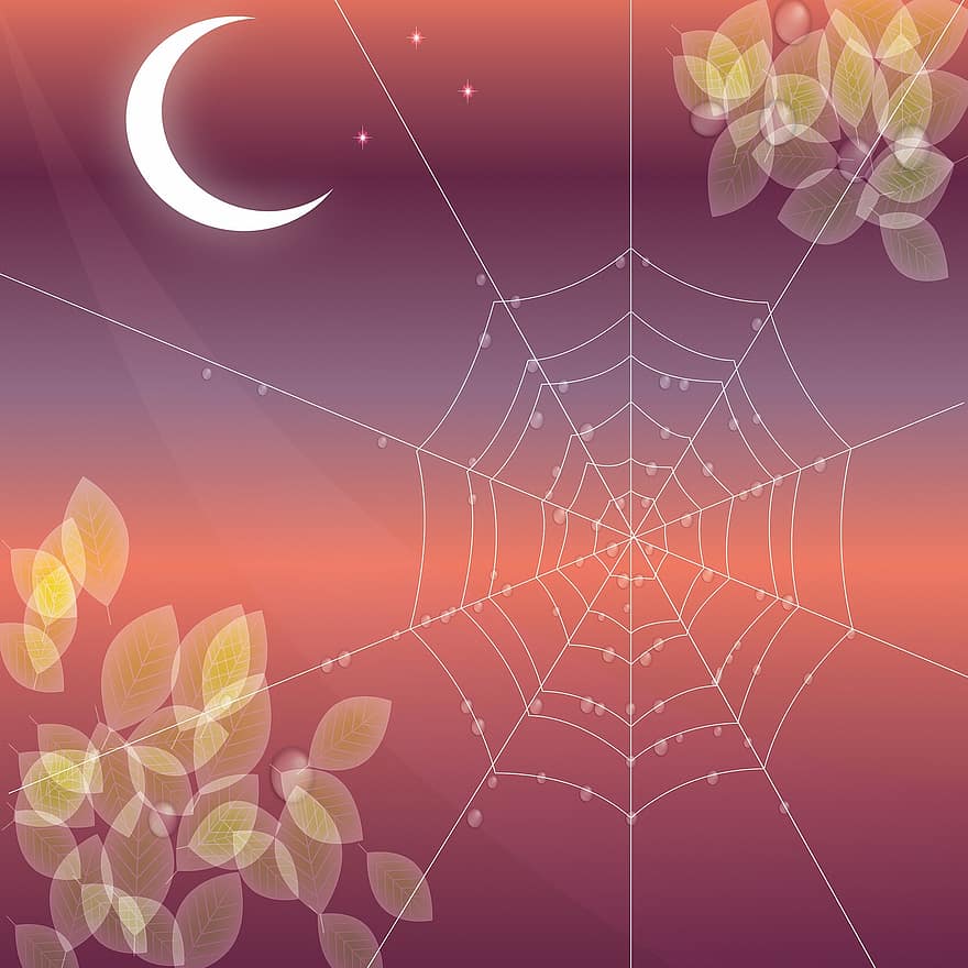 павутина, павутиння, небо, місяць, веб, кущ, роса, крапельки роси, рослини, безшовні