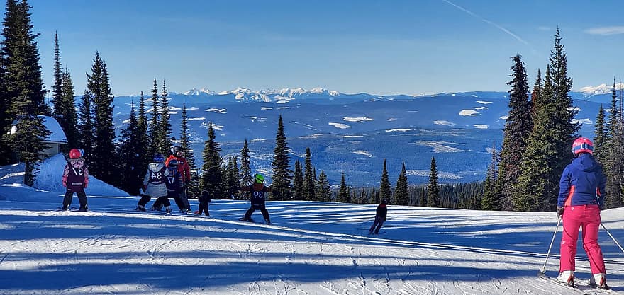การเล่นสกี, หิมะ, ต้นไม้, ฤดูหนาว, ทางสกี, เนินเขา, นักเล่นสกี, ภูเขา, เส้นทางสกี, ลานสกี, ต้นสน