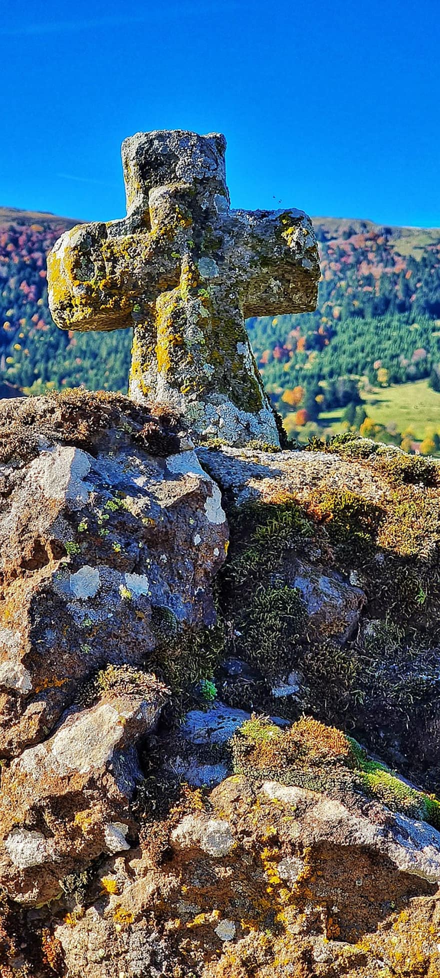Nature, Cross, Hike, Travel, tree, christianity, forest, religion, landscape, autumn, old