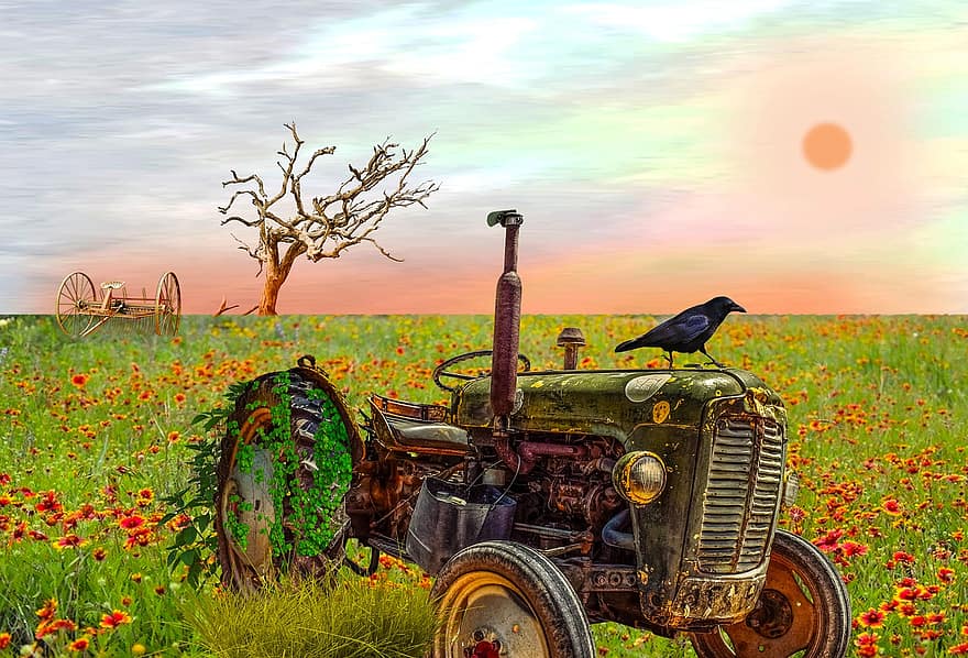 vintage traktor, äng, rostig traktor, blommor, Övergiven traktor, vårblommor, himmel, jordbruksmark, ranch, landsbygden scen, bil