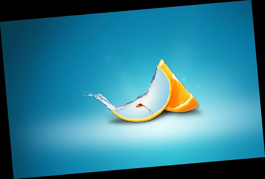 apelsīns, zivis, Oranžā dzīve, Photoshop, tiesu, nikon, canon, fujifilm