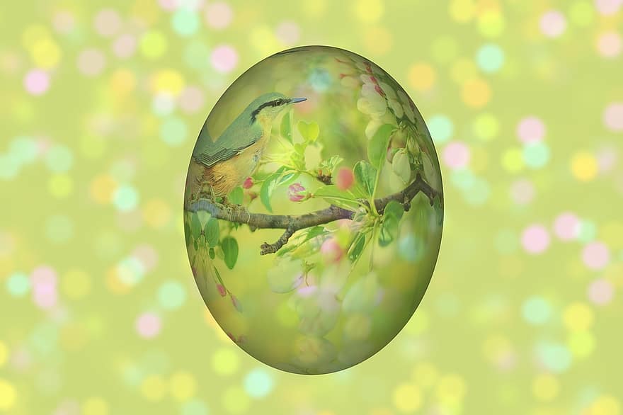 Великден, Великденски поздрав, поздравителна картичка, яйце, Великденско яйце, боке, цветен, Великденска украса