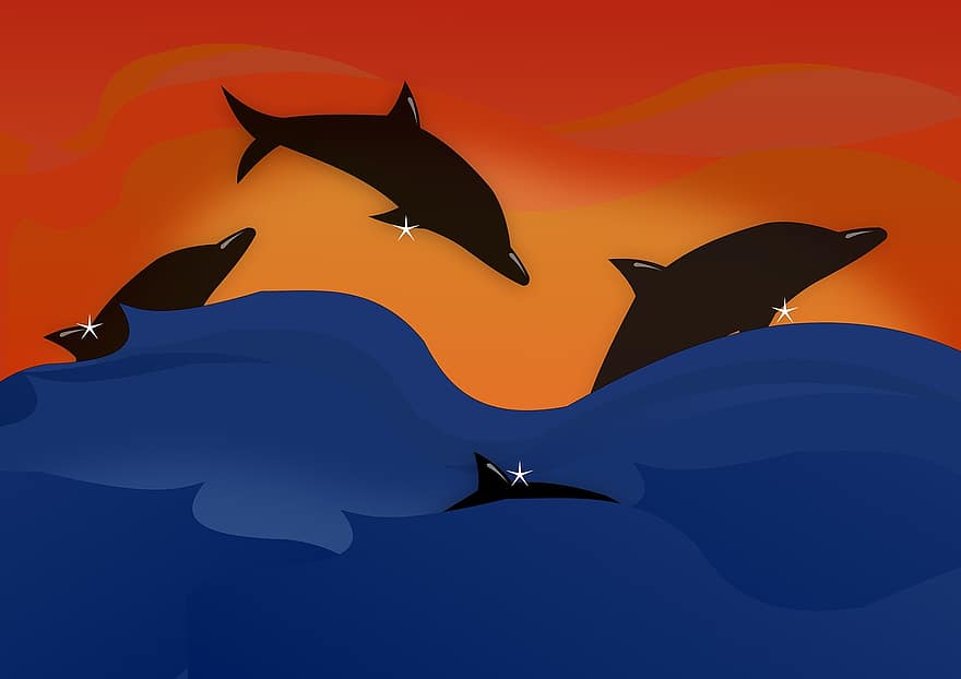golfinhos, por do sol, natureza, calmo, luz solar, verão, tarde, atmosfera, nascer do sol