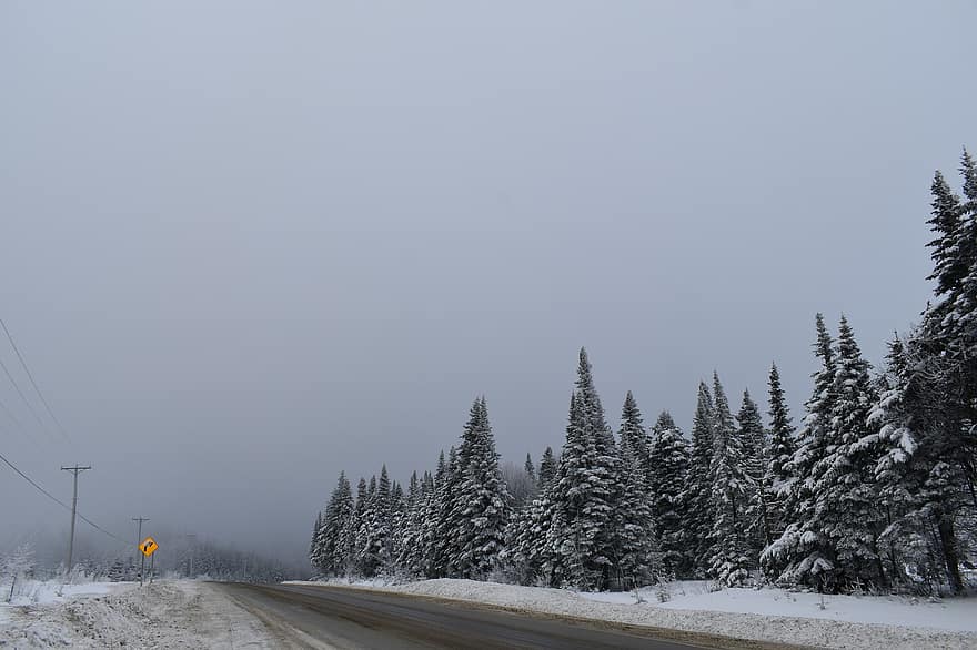 Канада, гора, Квебек, природа, пейзаж, зима, сняг, селски, планина, дърво, сезон