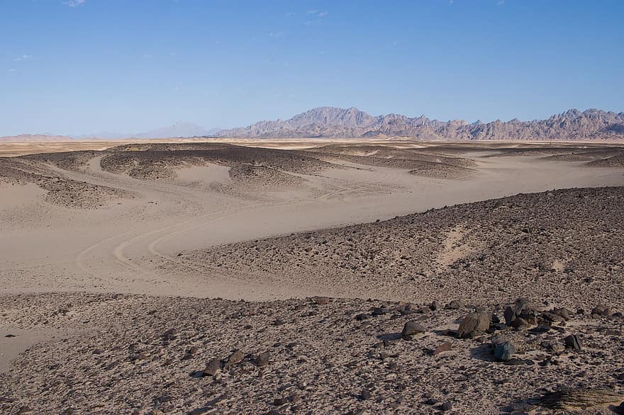 woestijn, duinen, natuur, zand, landschap, berg-, droog, zandduin, droog klimaat, extreem terrein, warmte