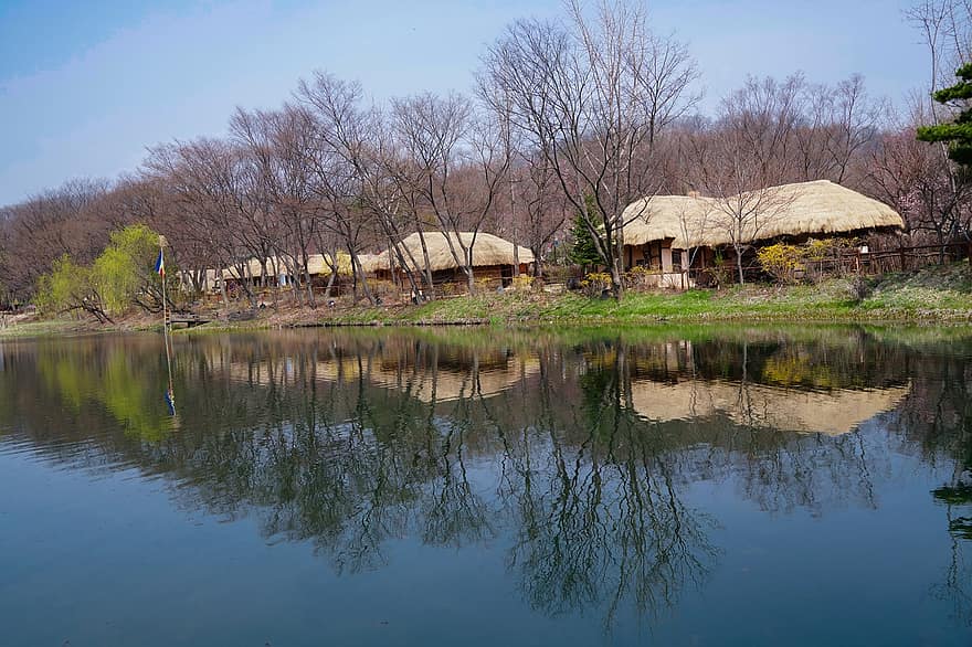 korejské lidové vesnice, řeka, stromy, odraz, tradiční, doškovou střechou hadice, jaro, gyeonggi dělat, yongin, voda, venkovské scény