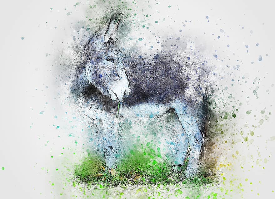 Donkey, Animal, Art, Abstract, Watercolor, Vintage, Colorful, T-shirt, Artistic, Design, Aquarelle