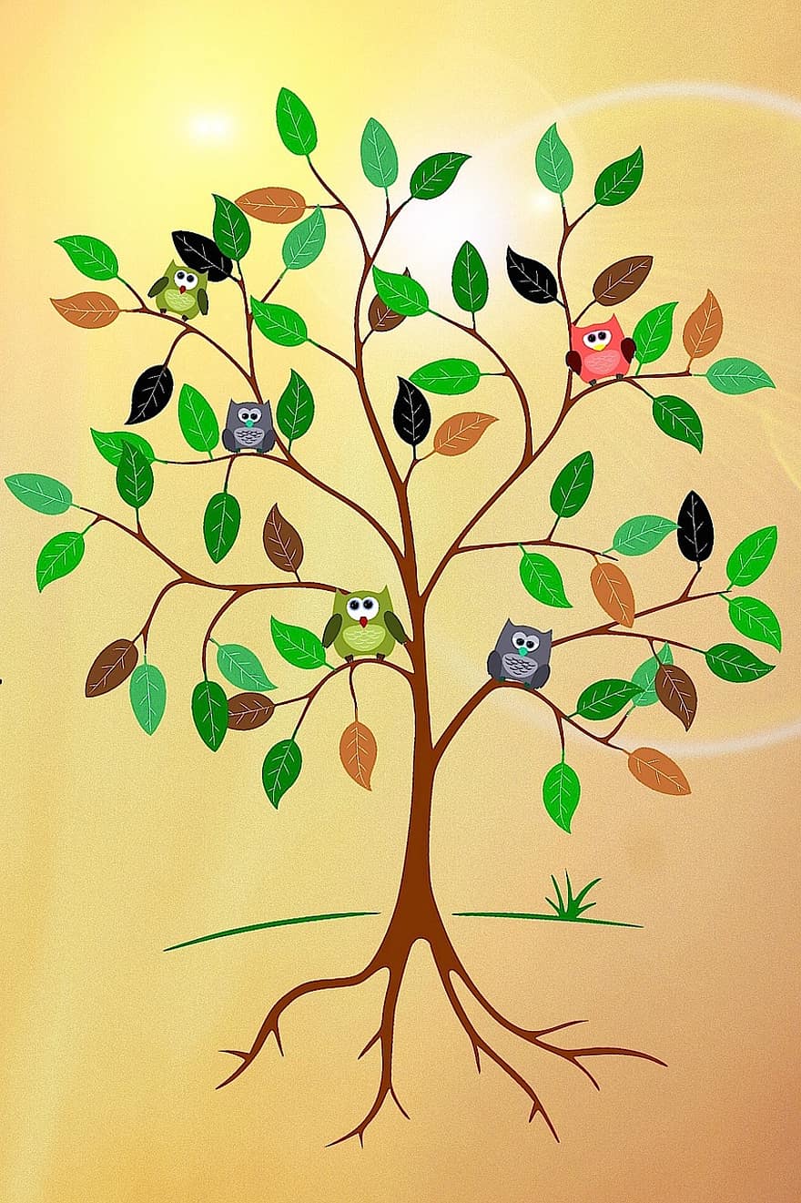 medis, šaknis, estetinis, lapai, pelėdos, saulė, kontūrai, kontūrus, žalias, ruda