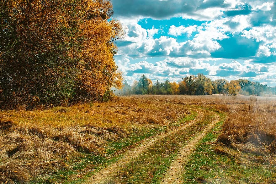 l'automne, route, chemin de terre, paysage, campagne