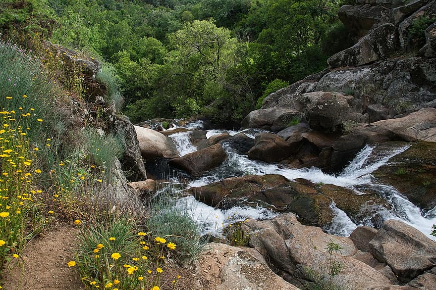 река, ручей, гора, пейзаж, природа, вода, поток, Виянуева де ла Вера, рок, планина, лято