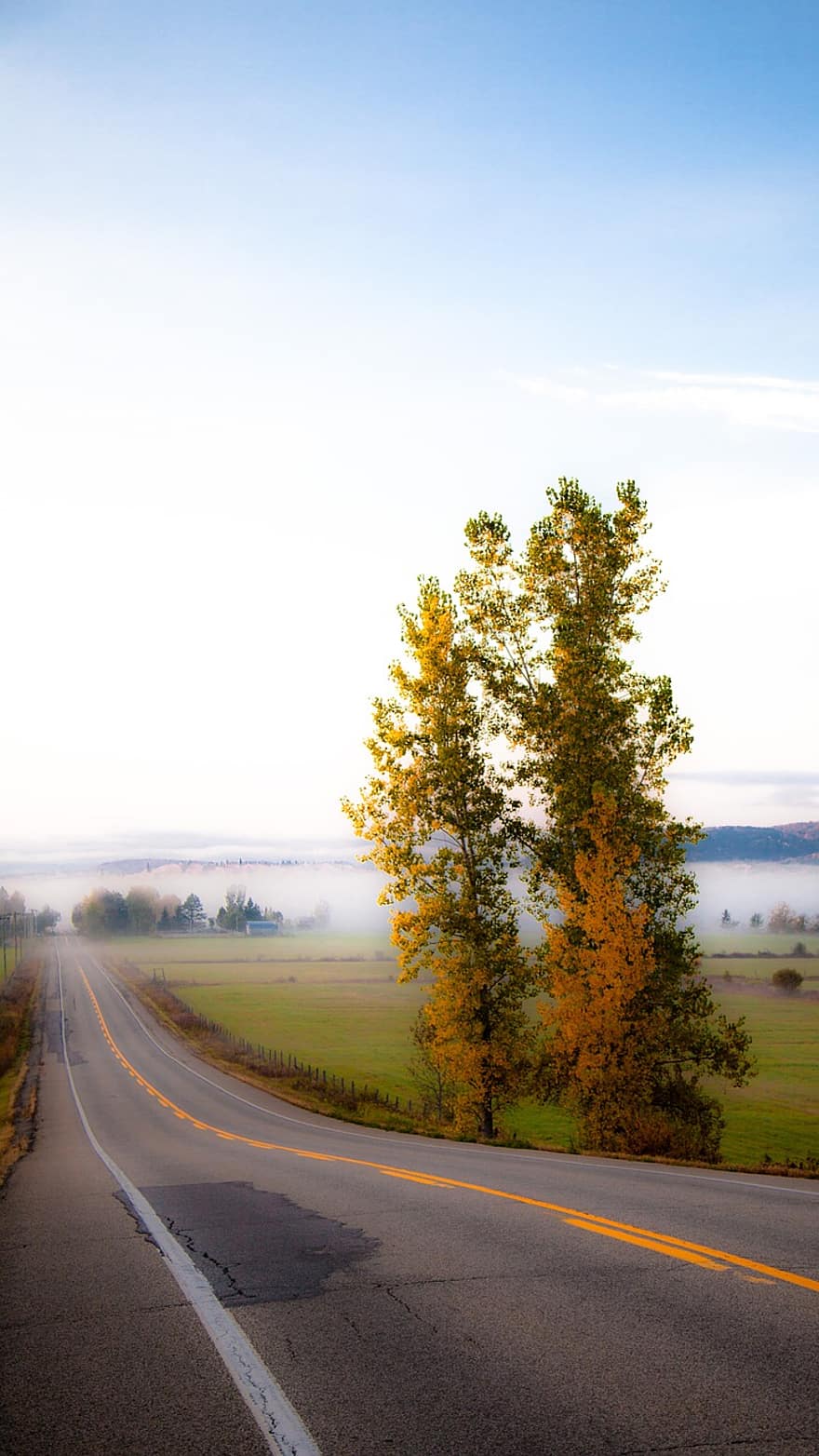 strada, autunno, albero, campo, paesaggio, nebbia, orizzonte, Québec, Canada