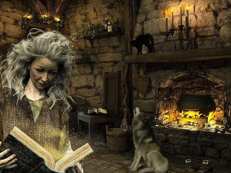 fantezi, oda, Kadın, cadı, baca, köpek, kedi, sihirli, karakter, dijital sanat, kitap