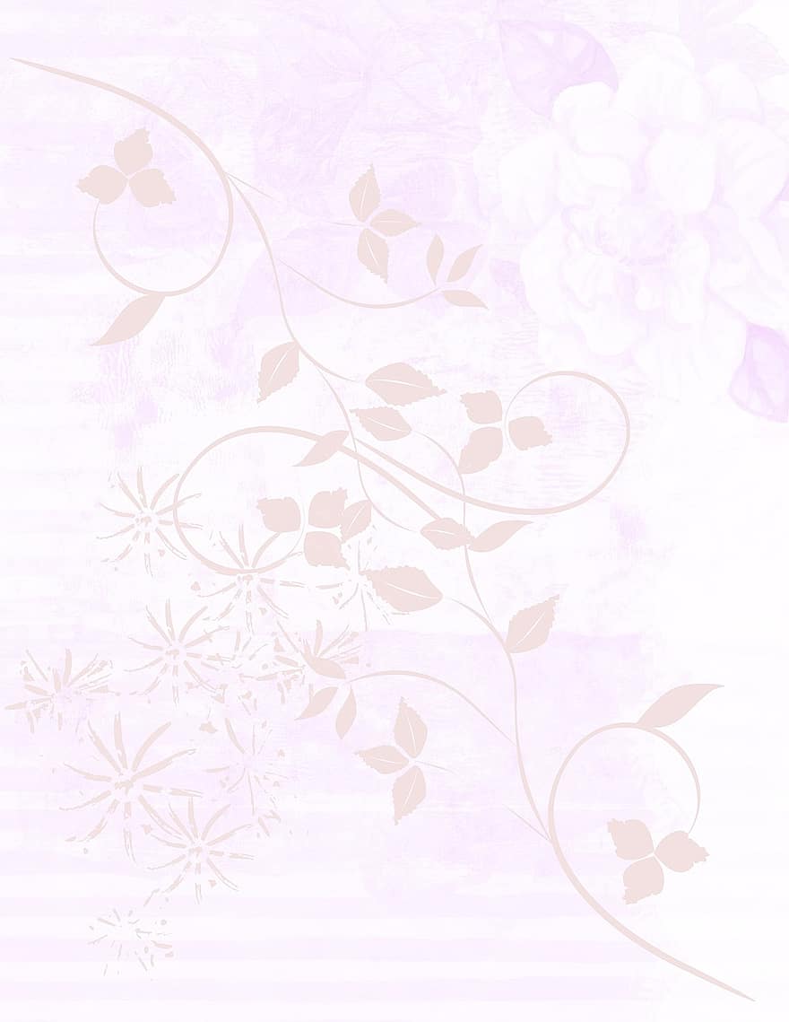 mjuk, rosa, bakgrund, lockar, leafs, mjuk bakgrund, rosa bakgrunder, vit, Färg, blomma, natur