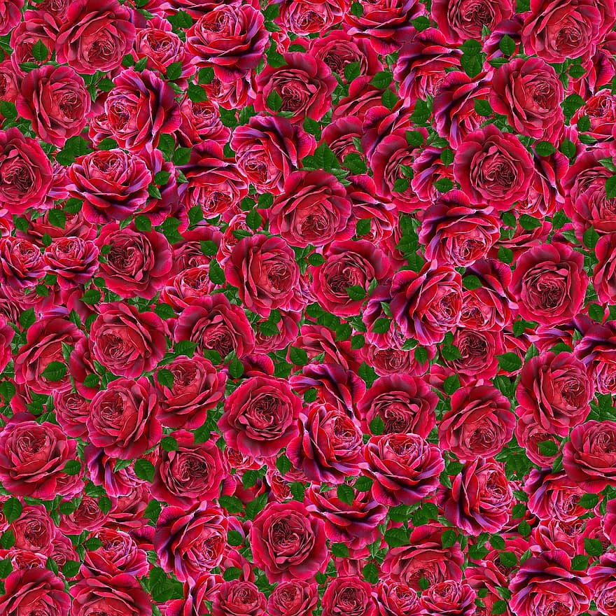 पृष्ठभूमि, गुलाब के फूल, डिजिटल पेपर, scrapbooking, बनावट, प्रतिरूप, फूलों, फूल, पत्ती, रोमांस, प्रेम