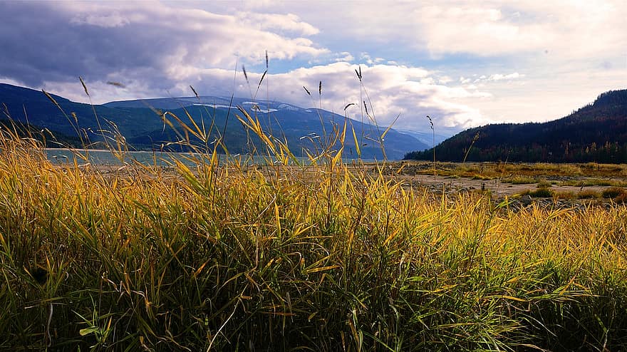 Grass, Nature, Landscape, mountain, summer, rural scene, meadow, water, blue, green color, mountain range