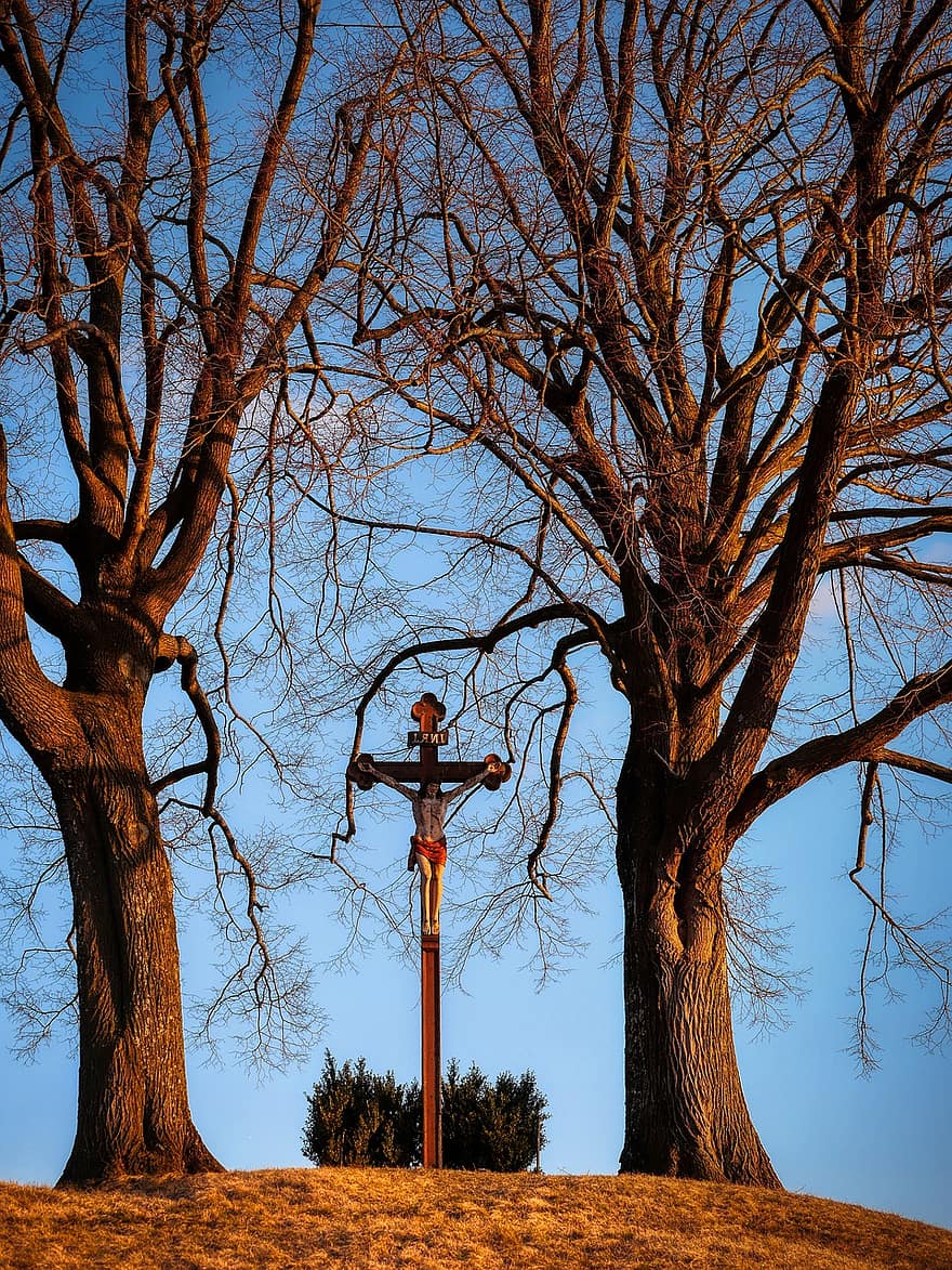 Trees, March, Cross, Crucifix, Faith, Meadow, Commemorate, tree, christianity, branch, religion