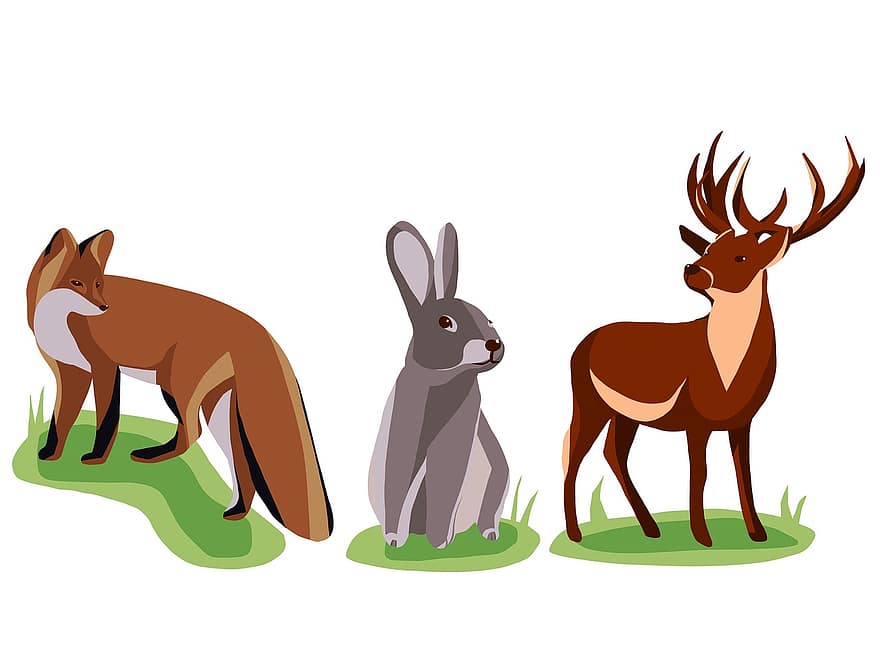 Động vật thảo nguyên, con nai, động vật, cáo, con thỏ, Con thỏ, Thiên nhiên, động vật hoang dã