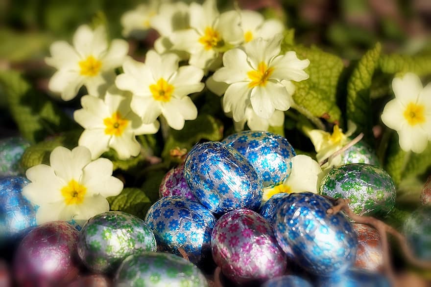 choklad, ägg, blommor, påsk, påskägg, ljuv, färgad, närbild, springtime, blomma, multi färgad
